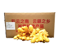 小黄姜10KG